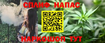 ALPHA PVP Гатчина