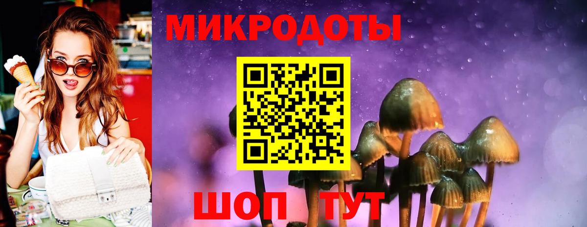 Галлюциногенные грибы GOLDEN TEACHER Междуреченск